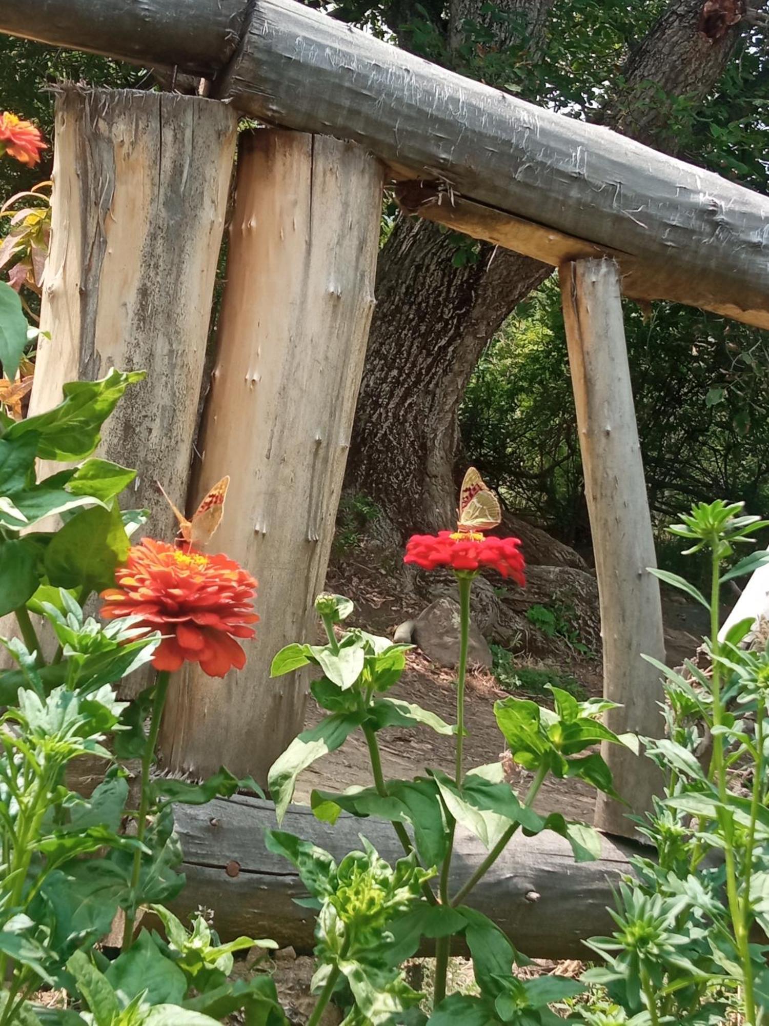 Hors'S Home Εξωτερικό φωτογραφία